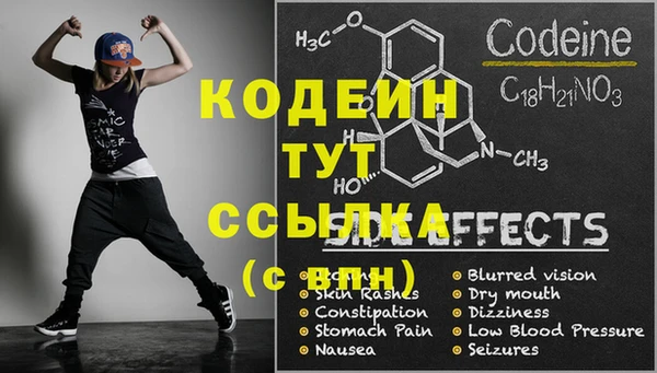 прущие грибы Лагань