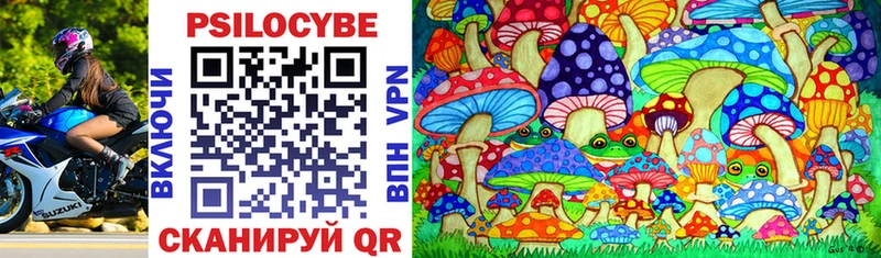 Купить  Нальчик  Галлюциногенные грибы GOLDEN TEACHER 