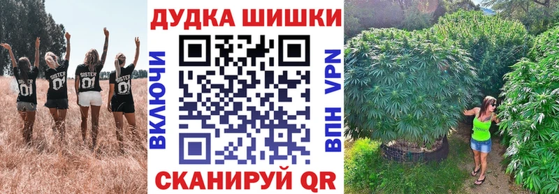 Бошки Шишки MAZAR  Купить где  Нальчик 